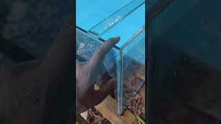 Customer Tank Repair Work ✨Thoothukudi | Fixing Broken Side and Front Glass✨#aquariumtank