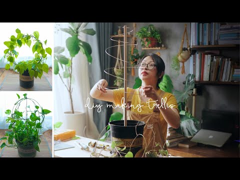 Video: Creative Hanging Houseplant Ideas: Txias Sab Hauv Tsev Dai Planters