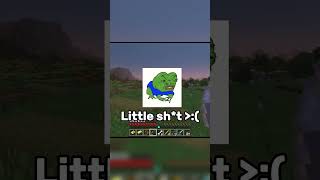 Absolute Rage Bait #minecraft #funnyclips #youtubeshorts