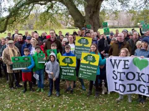 stoke-lodge:-'a-fence-is-not-a-structure'?-all-parties-call-for-mayor-to-share-absurd-legal-advice