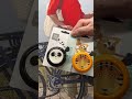 Panda en Tijger! Wat hebben we toch een leuk assortiment! #fietsen #dingdong
