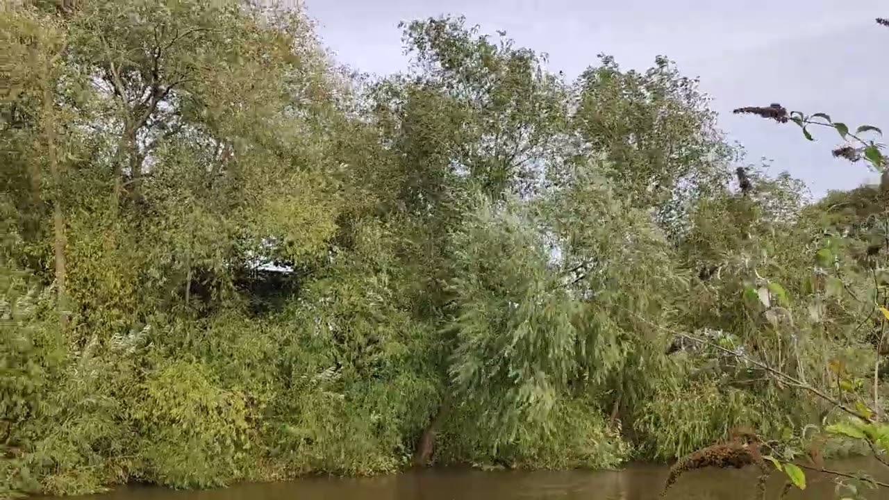 Flood Alert  River Aire. River Burst Bank