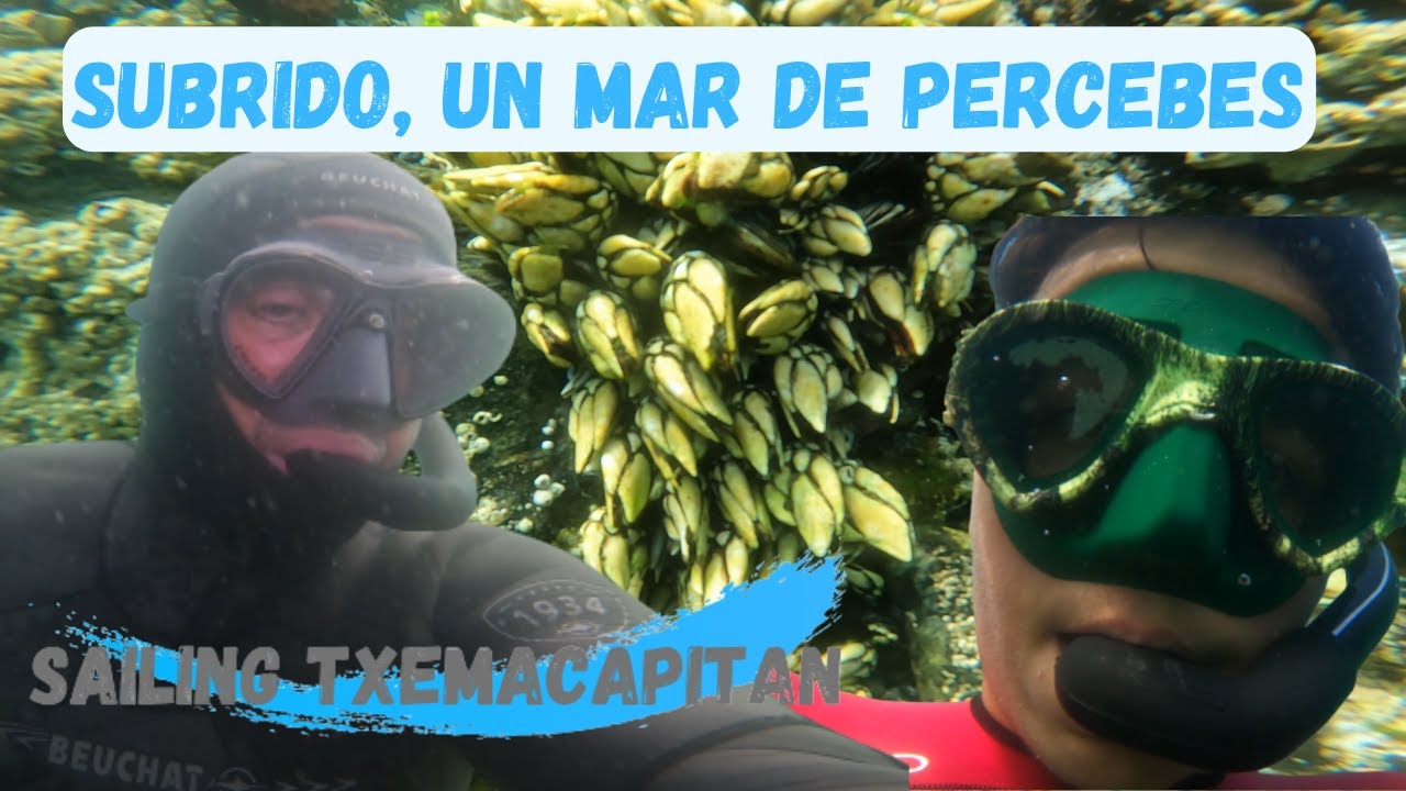 SUBRIDO, UN MAR DE PERCEBES