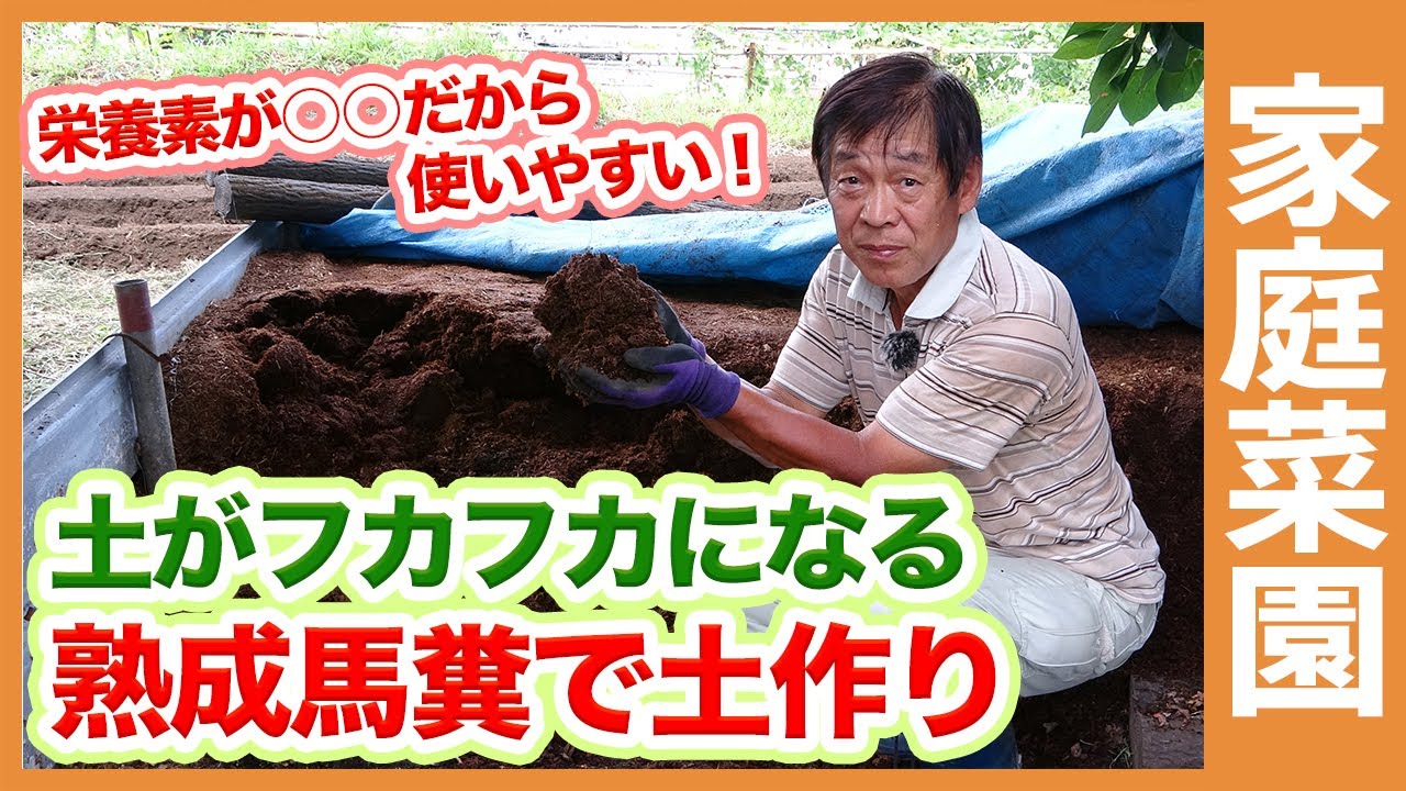 家庭菜園で元肥をたっぷり使ってフカフカな土作り 馬糞を使う天地返し土作りも解説 農家直伝 Youtube