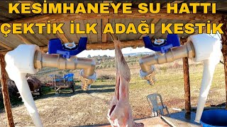 KESİMHANENİN AÇILIŞINI YAPTIK~ADAKLIK KUZU KESİMİ~SU HATTI ÇEKDİK~KÖY HAYATI SEVENLER