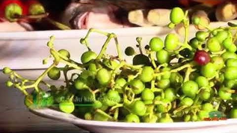 Đặt Sản Miền Sông Nước | Cá Nâu Kho Trái Giác