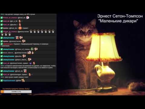 Эрнест Сетон-Томпсон "Маленькие дикари" часть 2