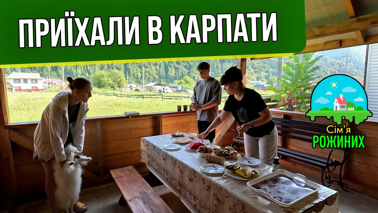 ВЛОГ з Карпат. Поселились в будинку серед гір