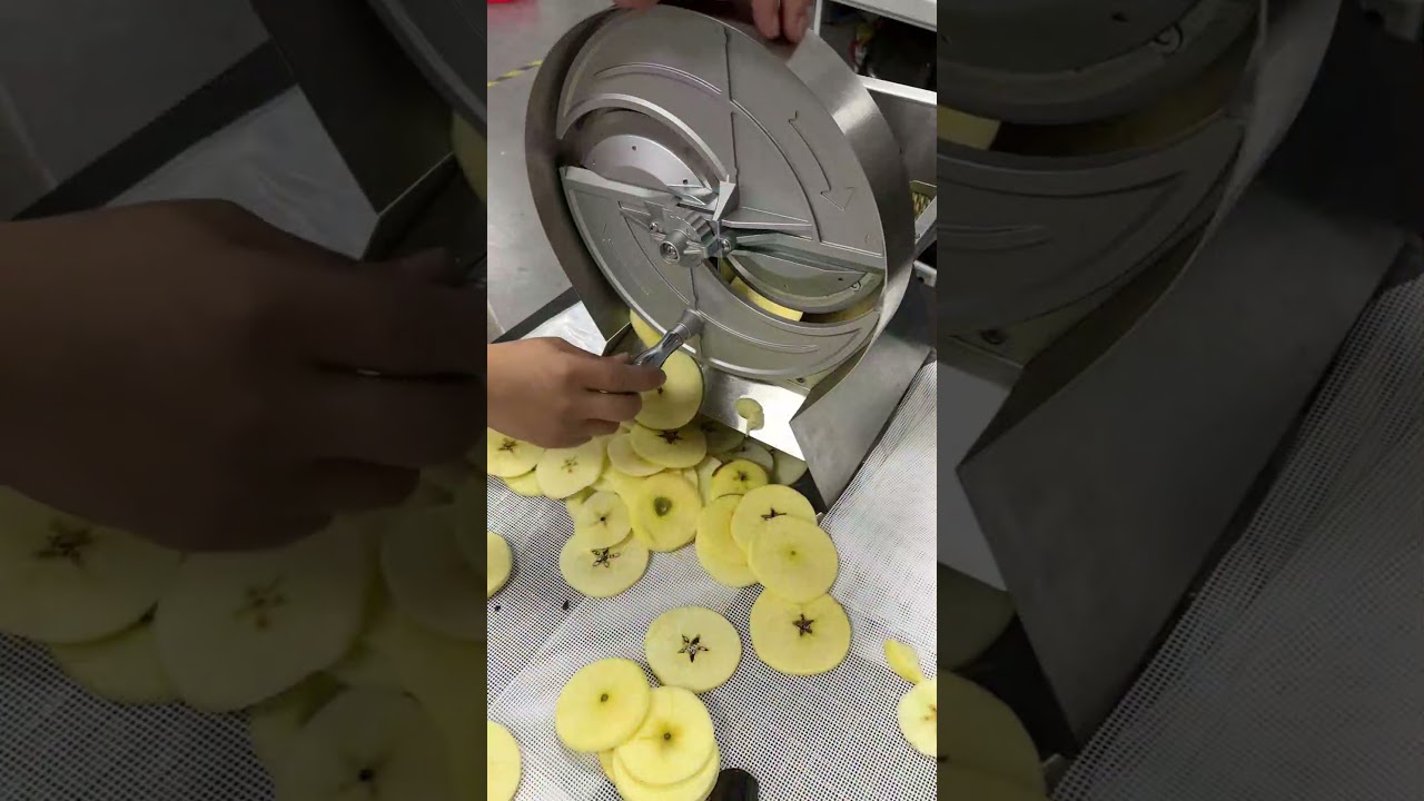 24-Tray Food Dehydrator in Action – Drying Fuirts & Vegetables!  