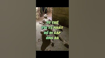 Tư thế tồi tệ nhất để đi gặp ông bà #chuotkechuyen