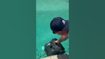 AIPER SEAGULL PRO Robotic Pool Cleaner in Action!! #aiper #aiperseagullpro #pool #poolcleaning