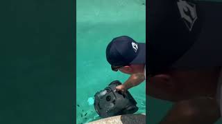 AIPER SEAGULL PRO Robotic Pool Cleaner in Action!! #aiper #aiperseagullpro #pool #poolcleaning