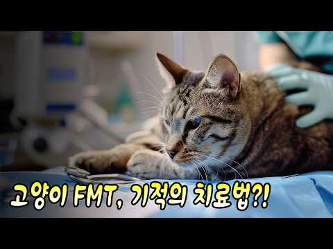 고양이에게 대변을 이식한다고요? FMT의 진짜 실체