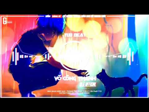 Bên Nhau Kiếp Sau Remix - Vương Tiểu Dao 共渡来生 (DJ Pad仔版) - 王小刀 [TIK TOK EDM]