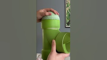 DIY Cactus Cat Tree! 🌵🐱