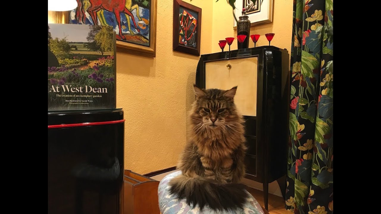 Edward James, part II: AT WEST DEAN by Jim Buckland & Sarah Wain