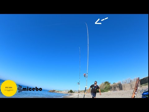 PICADA QUE ME ASUSTA... DORADA XL ALMERÍA, TREMENDA PELEA... SURFCASTING GRANADA