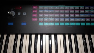 SAMPLING INTO the---Sequential Circuits Prophet 2000