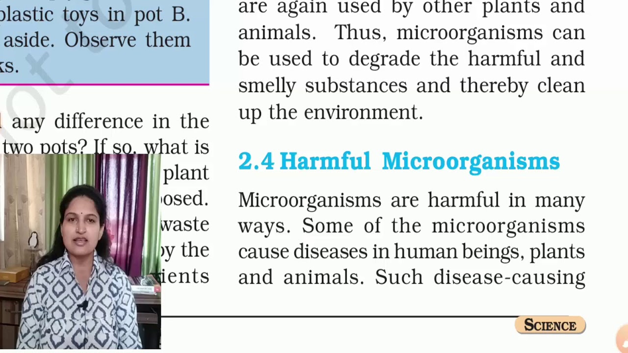 Harmful Microorganisms Class 8 Science Chapter 2 YouTube