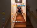 絶対に笑う瞬間ランキングww #おもしろ #面白い