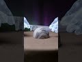 Cutting a marbleized dome with satisfying precision #ai #asmr