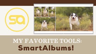Creating photography albums FAST with SmartAlbums screenshot 4