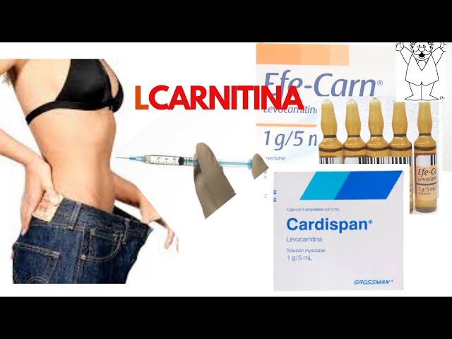 L_ Carnitina _ Cardispan