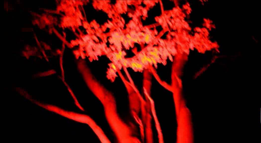 Spooky World, Warrington - 2012