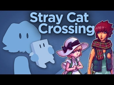 Stray Cat Crossing