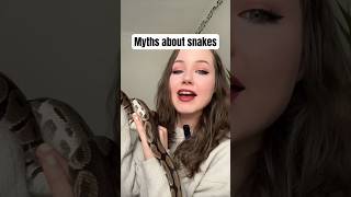 Biggest myths about snakes you may believe! #snakes #reptiles #myths