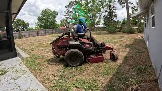 Solo Mow in a Mini Drought 🌾 | Spring Hill FL Overgrown Lawn Cleanup