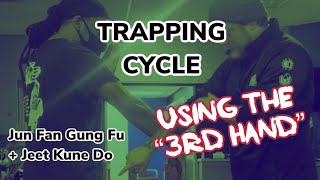 Celebrity Trapping Cycle for JKD Attribute Development Wealth