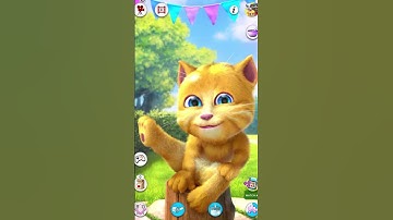 Con mèo biết nói #shortsfunny