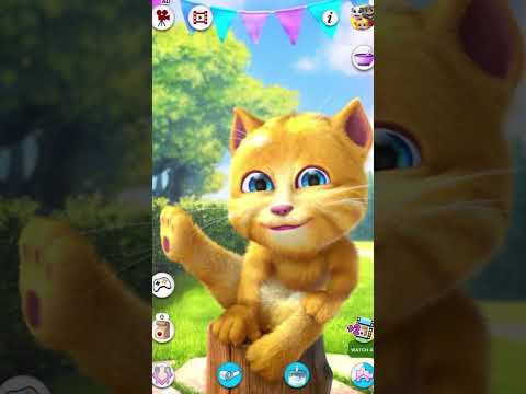 Con mèo biết