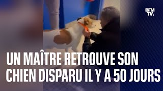 Après 50 jours de recherches, Nicolas a retrouvé son chien Bayou, disparu le 21 février