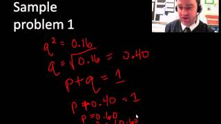 Hardy-Weinberg practice problems