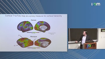 John Murray: "Neural Circuit Modeling of Large-Scale Brain Dynamics for Computational Psychiatry"