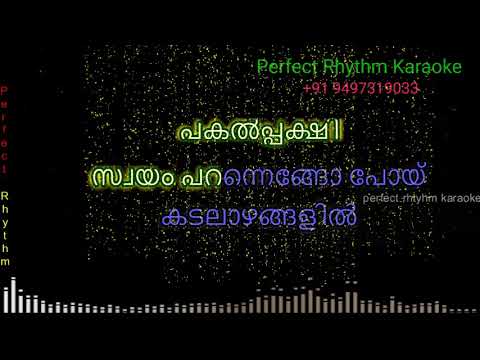 Pinne Ennodonnum  Karaoke  Shikkar  Mohanlal  KJ Yesudas  Gireesh Puthenchery 