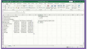Excel Module 1 Independent Challenge 2