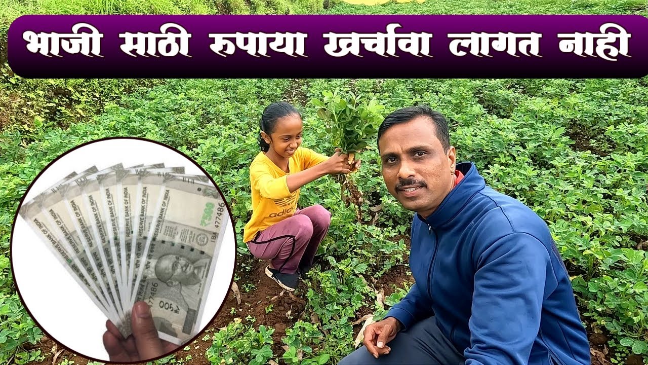 स्वयंपूर्ण शेतकरी राजा एक पैसा खर्चत नाही भाजीसाठी | रॉयल शेतकरी | जगाचा पोशिंदा@Mivatsaru