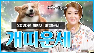 2020년 경자년 하반기 개띠 운세 대공개 [ 58년생 70년생 82년생 94년생 ] 금전운이 대박난다 ?!