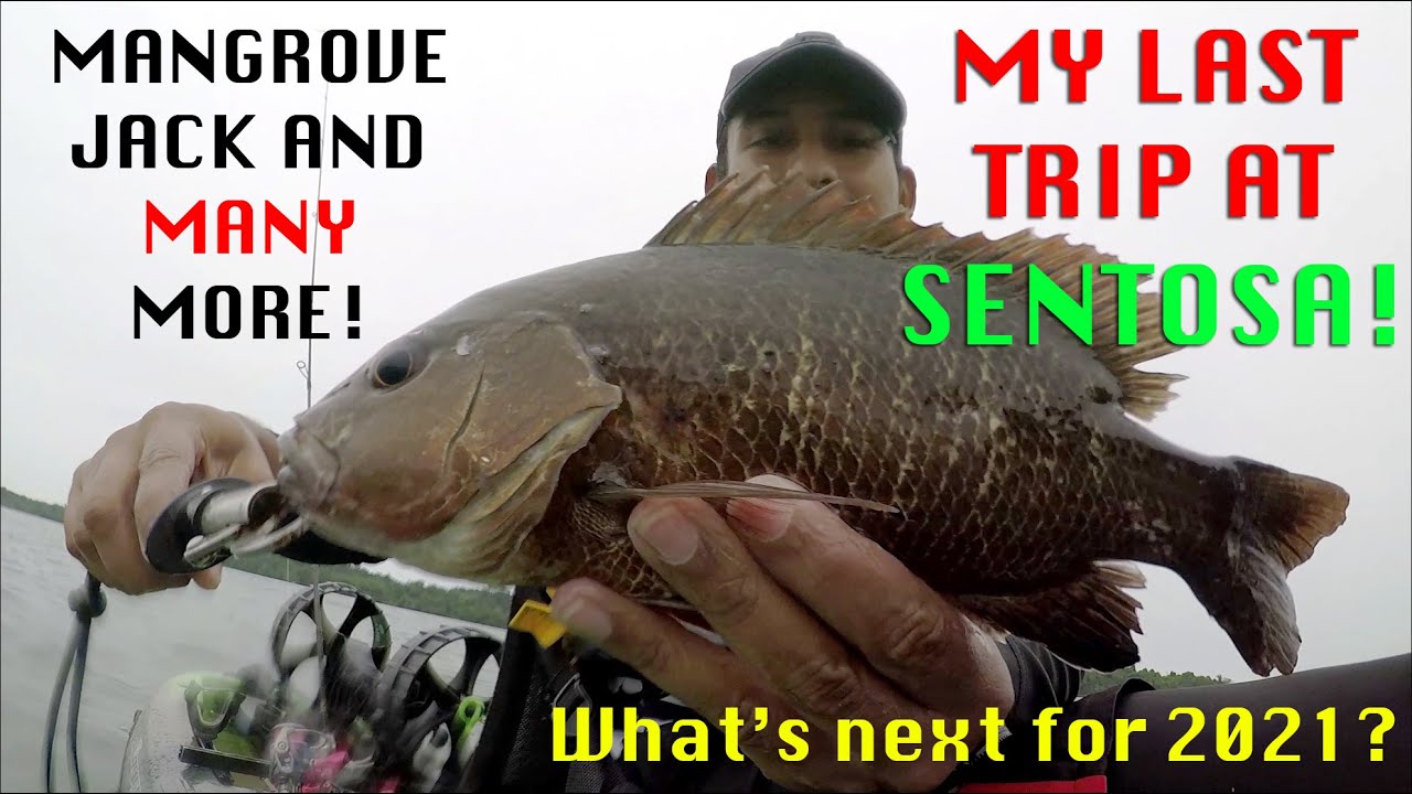My LAST trip at SENTOSA ! WILL IT BE AWESOME? Kayak Fishing Singapore 30