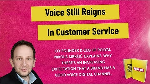 Voice still reigns in customer service - Interview with Nikola Mrkšić of PolyAI