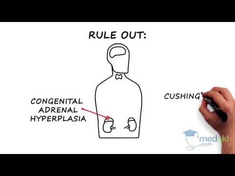 Endocrinology - Hirsutism and Hypertrichosis: By Joshua Lakoff M.D.