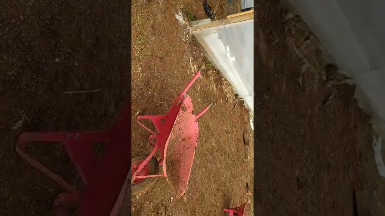 proses pencampuran medi a tanam melon