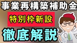 新たに特別枠「事業再構築補助金」徹底ガイド 最大1億円の準備を始めよう（2月5日版）【中小企業診断士YouTuber マキノヤ先生　経営コンサルタント 牧野谷輝】#628