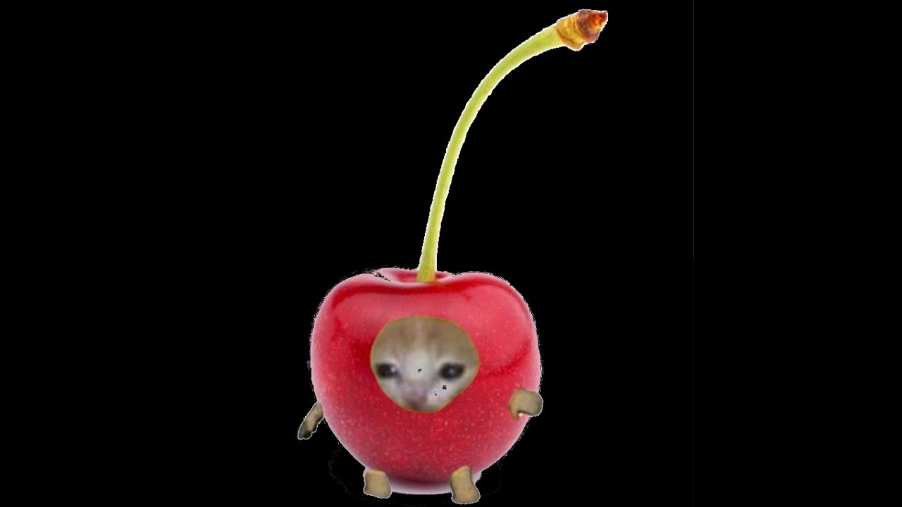 Advanced Rime Behemoth Titan Guide in Witch Queen before Season 17