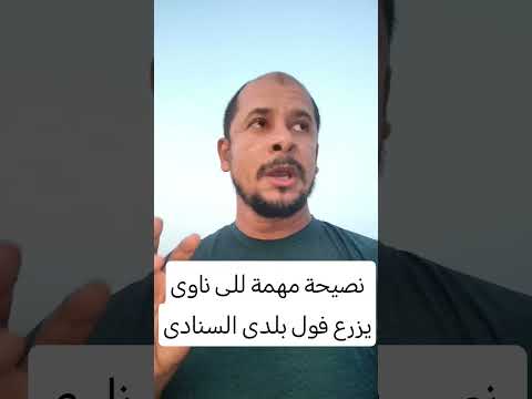 نصيحة مهمة لمزارعى الفول البلدى والأسبانى لهذا الموسم    اكسبلور