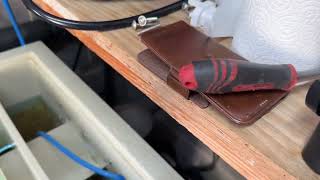 DVS/Queni Koi Drum Screen Removal and Cleaning