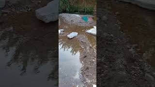 Los Veneros de la Cieneguita